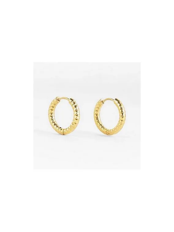 Boucle d'oreille–Hydra–ACIER DORE–3x12mm Zag bijoux