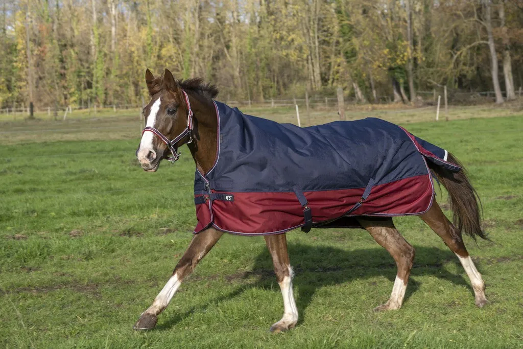 Couverture Equi-Theme Tyrex 1200 D High Neck pour cheval
