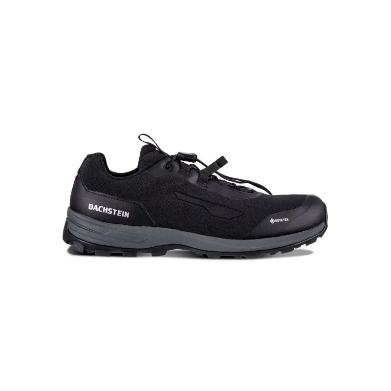Dachstein Delta Rise 2.0 MC GT - Chaussures randonnée homme | Hardloop